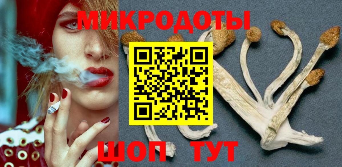 Галлюциногенные грибы Psilocybine cubensis  Псилоцибиновые грибы Psilocybe  купить закладку  Вход с VPN  Шебекино 